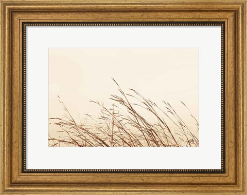 Framed Country Grasses II Print