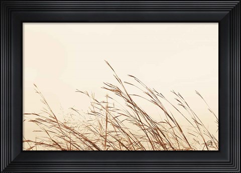 Framed Country Grasses II Print
