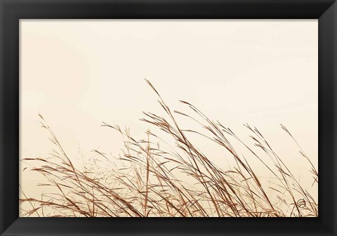 Framed Country Grasses II Print