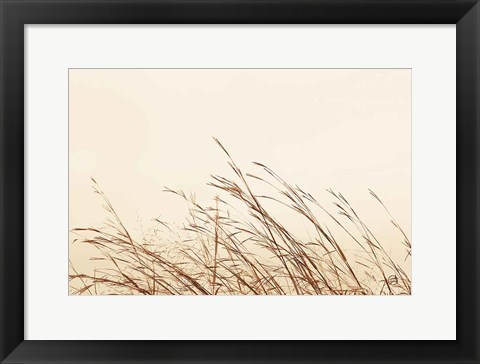 Framed Country Grasses II Print