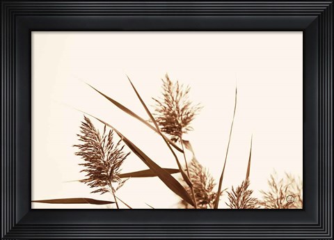 Framed Country Grasses I Print