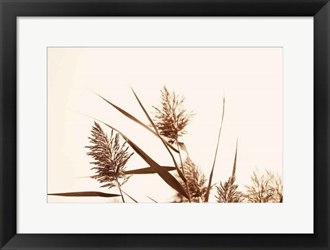 Framed Country Grasses I Print