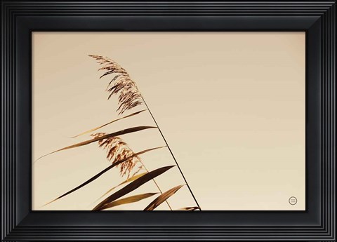 Framed Windswept Grasses Print