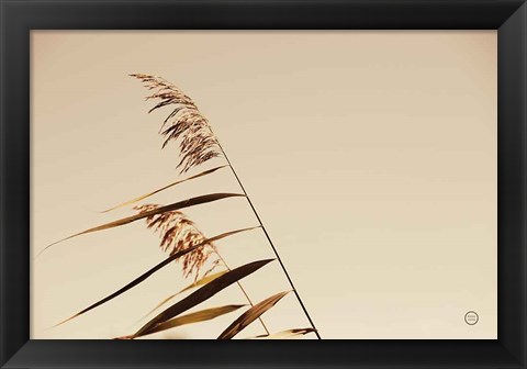 Framed Windswept Grasses Print