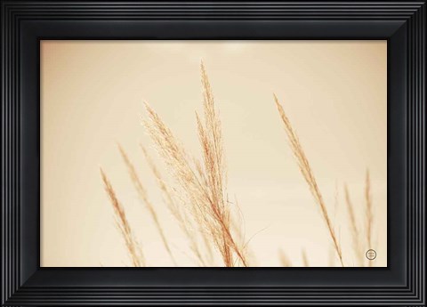 Framed Summer Fields Print