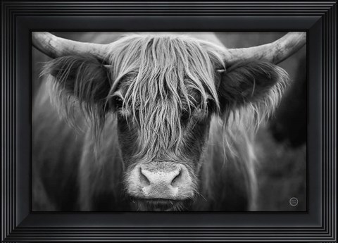Framed Cow Nose BW Print