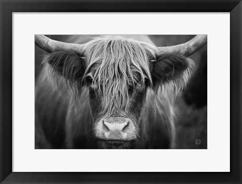 Framed Cow Nose BW Print