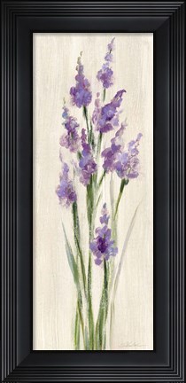 Framed Farm Flower II Light Print