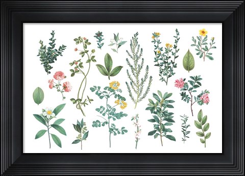 Framed Victorian Garden Bright III Print