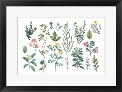 Framed Victorian Garden Bright III Print