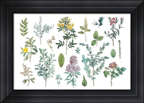 Framed Victorian Garden Bright IV Print