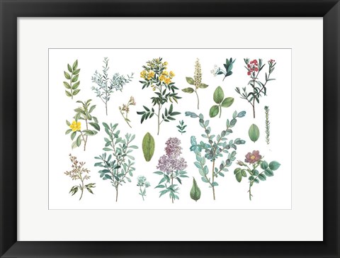 Framed Victorian Garden Bright IV Print