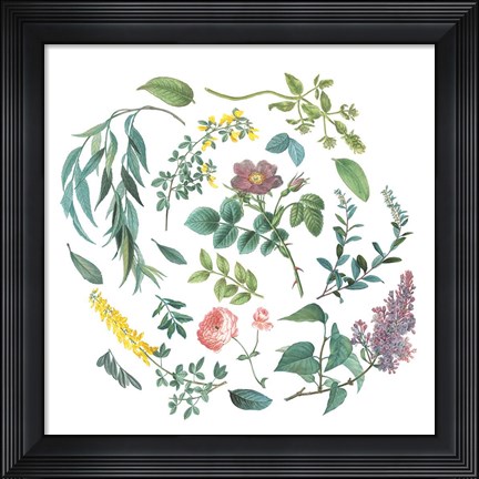 Framed Victorian Garden Bright I Print