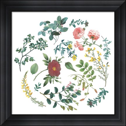 Framed Victorian Garden Bright II Print
