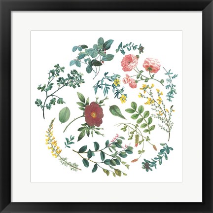 Framed Victorian Garden Bright II Print