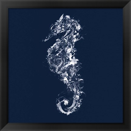 Framed Seahorse Print