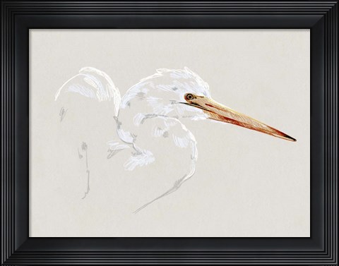 Framed Bright Egret Sketch I Print