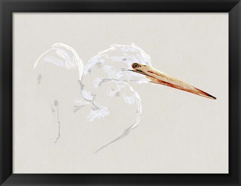 Framed Bright Egret Sketch I Print