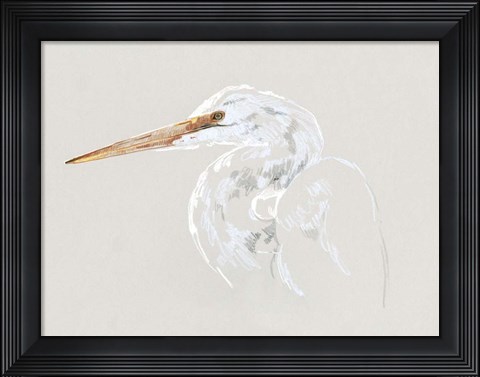 Framed Bright Egret Sketch II Print