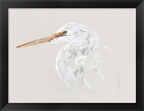 Framed Bright Egret Sketch II Print