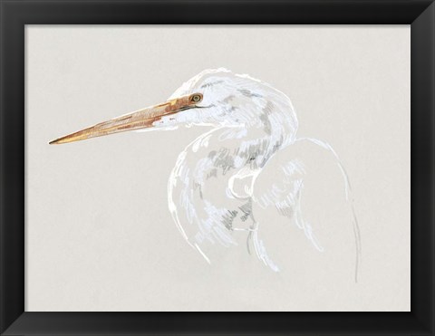 Framed Bright Egret Sketch II Print