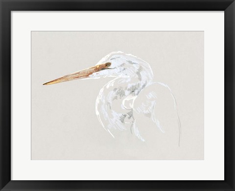 Framed Bright Egret Sketch II Print