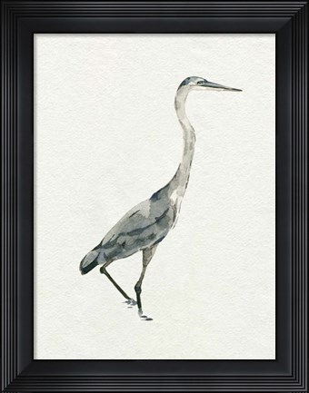 Framed Saltwater Herons I Print