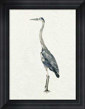 Framed Saltwater Herons II Print