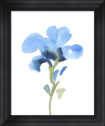 Framed Striking Blue Iris I Print