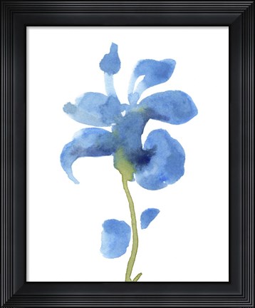 Framed Striking Blue Iris III Print