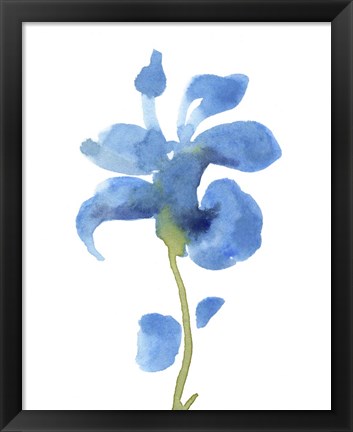 Framed Striking Blue Iris III Print