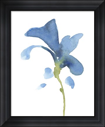 Framed Striking Blue Iris V Print