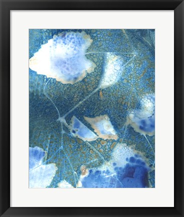 Framed Cyanotype Leaves I Print