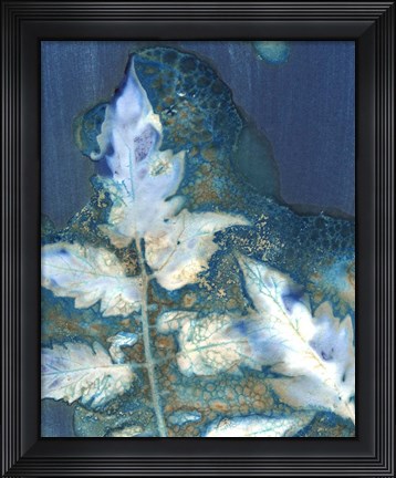 Framed Cyanotype Leaves II Print
