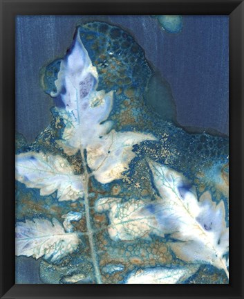 Framed Cyanotype Leaves II Print