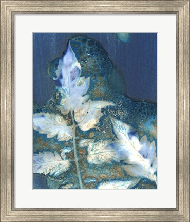 Framed Cyanotype Leaves II Print