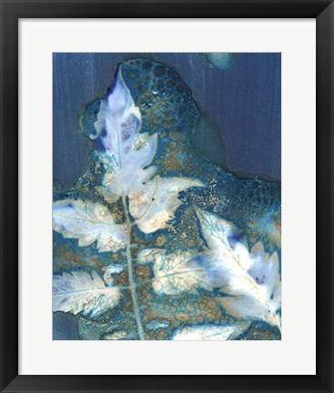 Framed Cyanotype Leaves II Print