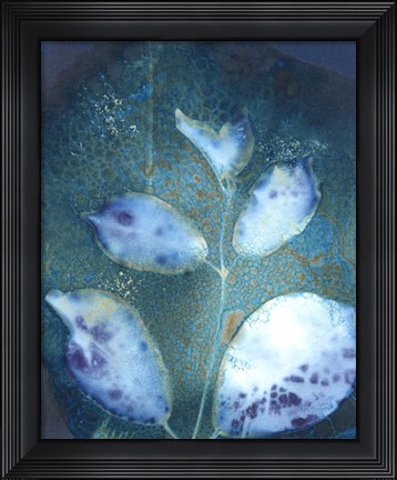 Framed Cyanotype Leaves III Print