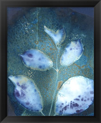 Framed Cyanotype Leaves III Print