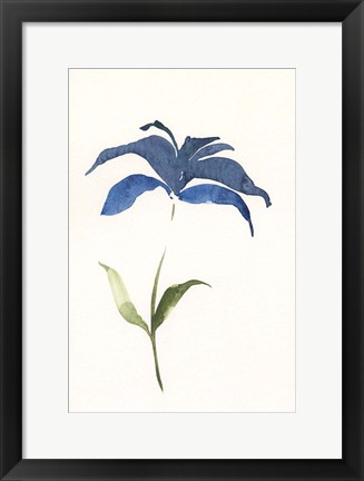 Framed Floweret II Print