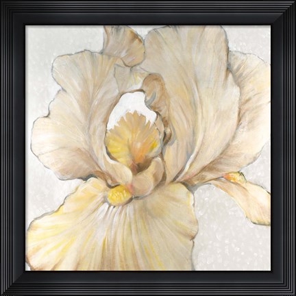 Framed Iris Cream I Print