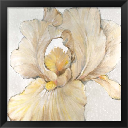 Framed Iris Cream I Print