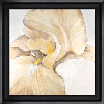 Framed Iris Cream II Print