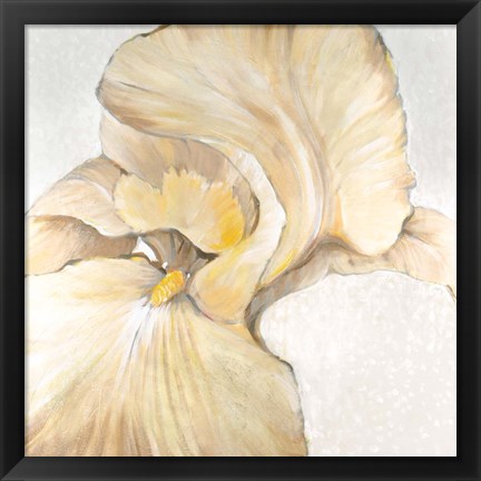 Framed Iris Cream II Print