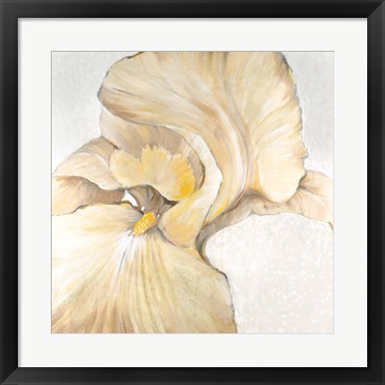 Framed Iris Cream II Print