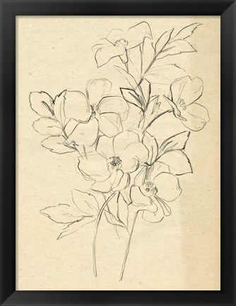 Framed Contour Flower Sketch I Print