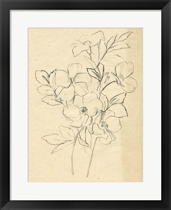 Framed Contour Flower Sketch I Print