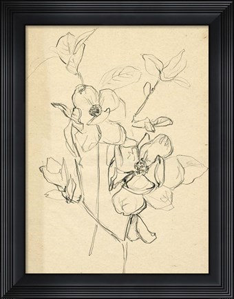 Framed Contour Flower Sketch II Print