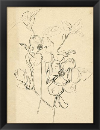 Framed Contour Flower Sketch II Print