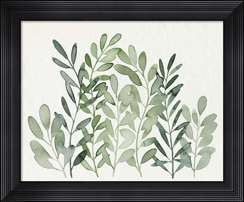 Framed Foraged Greens II Print